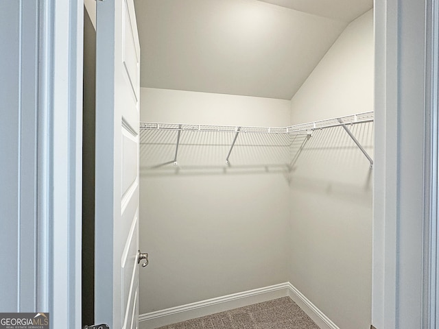 spacious closet featuring vaulted ceiling and carpet flooring