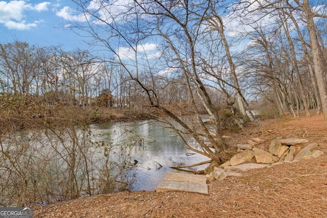 view of water feature