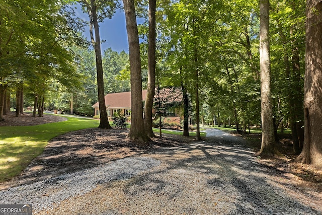 view of road with driveway