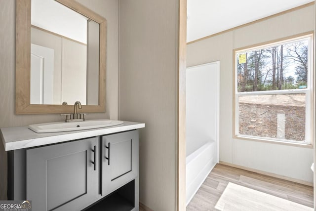 bathroom with vanity, a bathing tub, and wood finished floors