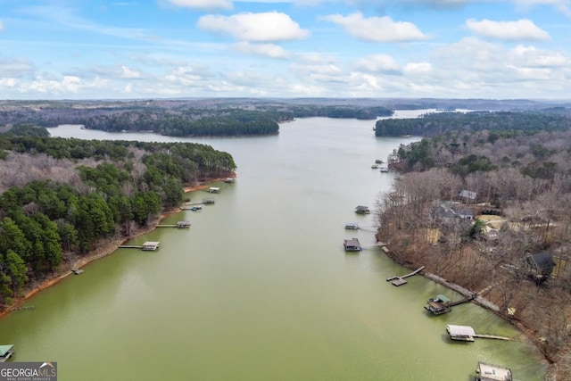 drone / aerial view with a water view and a wooded view