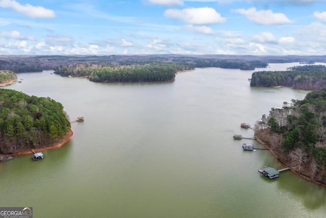 aerial view with a water view and a wooded view