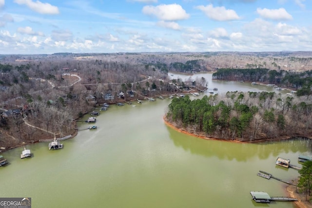 bird's eye view featuring a water view and a view of trees