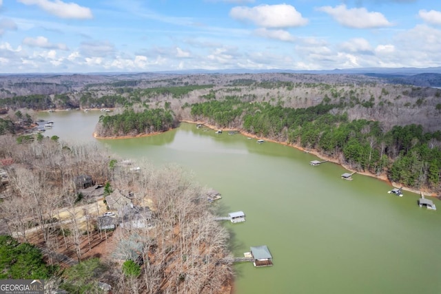 aerial view with a water view and a forest view