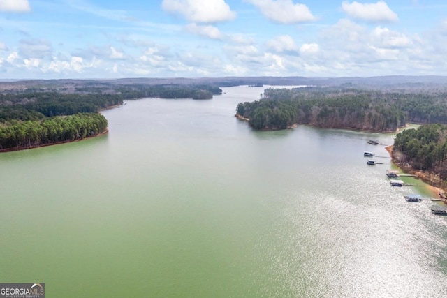 birds eye view of property with a water view and a view of trees