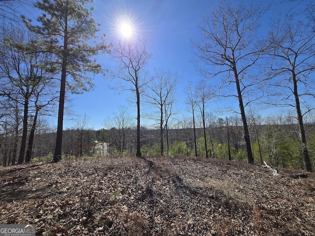 0 Brushy Mountain Rd, Rockmart GA, 30153 land for sale