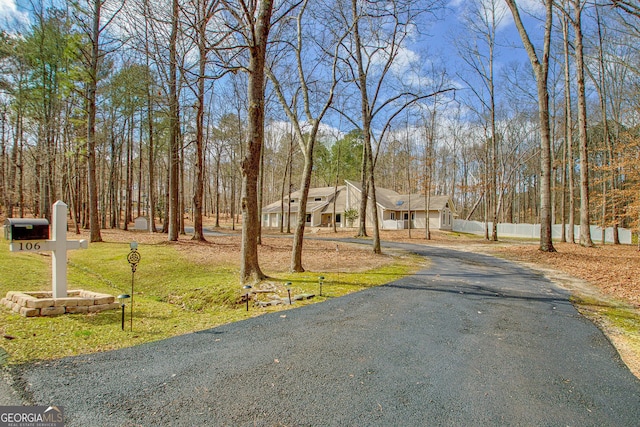 view of road with aphalt driveway