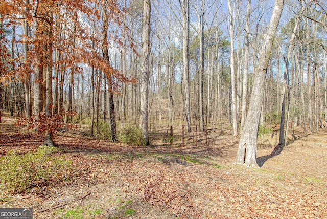 view of nature with a wooded view