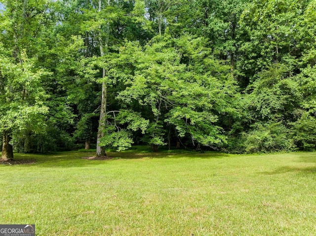 view of yard featuring a forest view