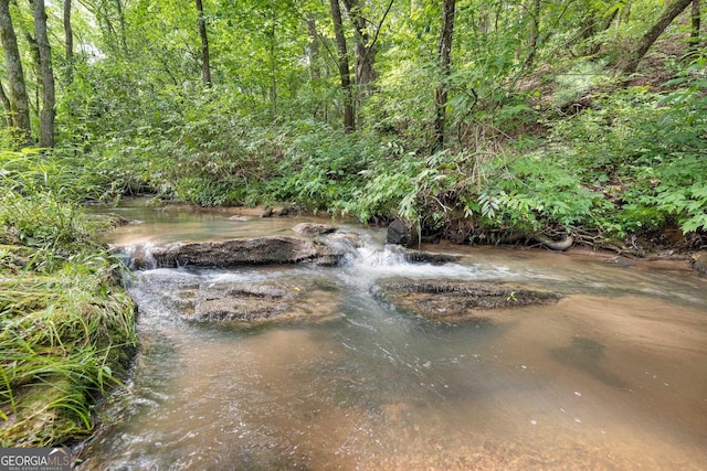 property view of water with a view of trees