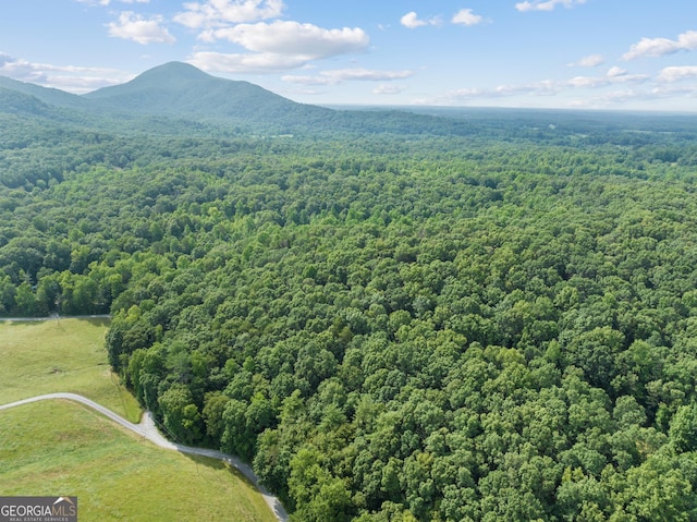 drone / aerial view with a forest view and a mountain view