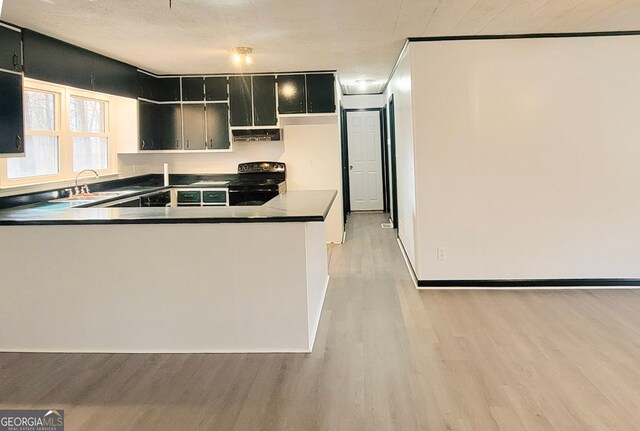 kitchen with light wood-type flooring, a sink, dark countertops, and black / electric stove