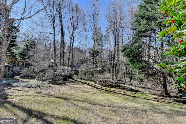 1301 Dayspring Trce, Lawrenceville, GA 30045 - view of yard