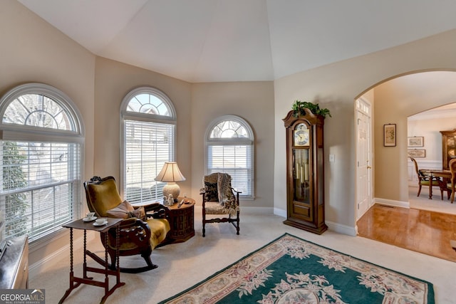 1301 Dayspring Trce, Lawrenceville, GA 30045 - sitting room featuring arched walkways, light colored carpet, vaulted ceiling, and baseboards