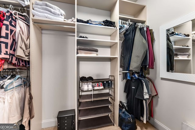 view of walk in closet