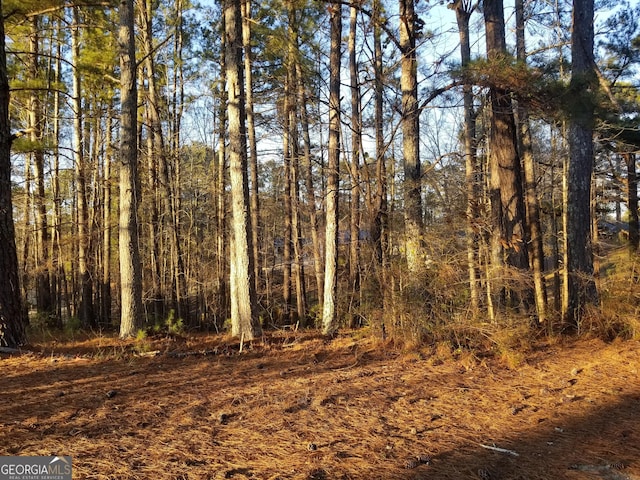 view of local wilderness featuring a view of trees