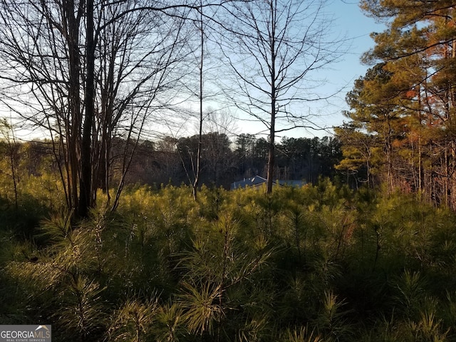 view of local wilderness with a forest view