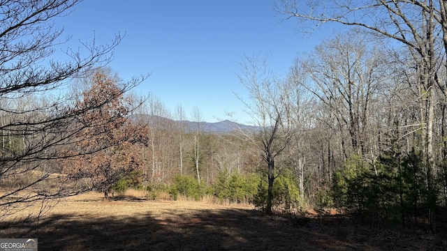 0 Sassafrass Ridge Dr, Sautee Nacoochee GA, 30571 land for sale