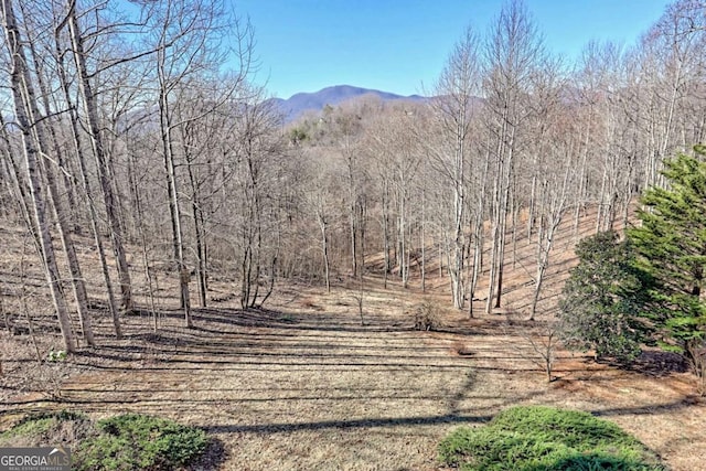 mountain view featuring a view of trees