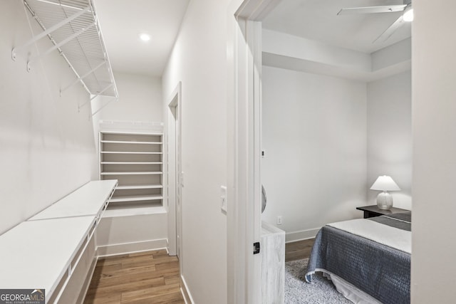 walk in closet featuring ceiling fan and wood finished floors