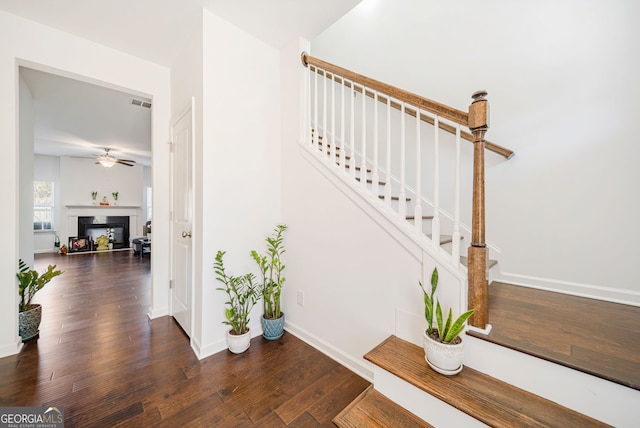 stairs featuring a fireplace with raised hearth, visible vents, a ceiling fan, wood finished floors, and baseboards