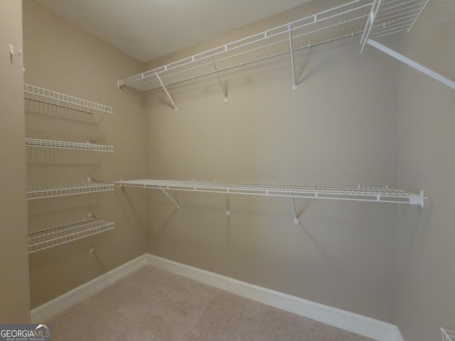 spacious closet featuring carpet floors