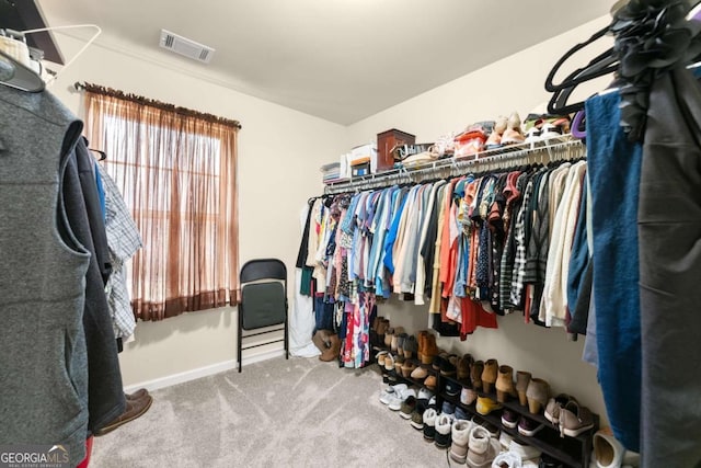 walk in closet featuring carpet and visible vents