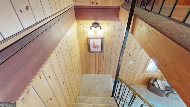 stairway with carpet floors and wood walls