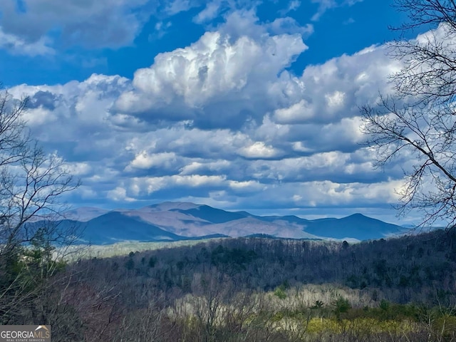 mountain view with a view of trees