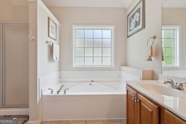 full bathroom featuring a garden tub, a stall shower, a wealth of natural light, and vanity