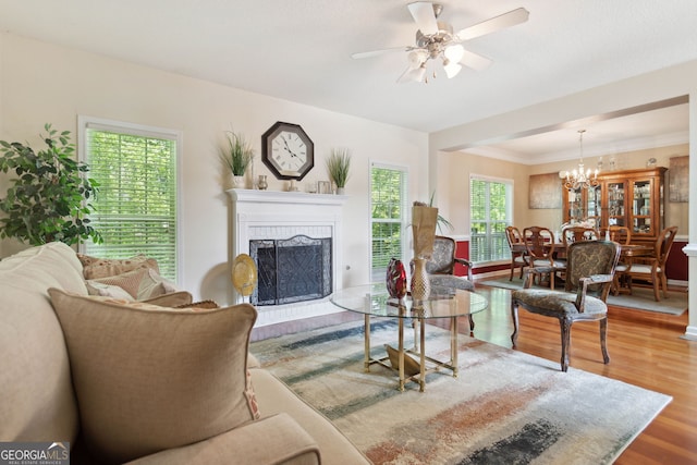 living room with crown molding, ceiling fan with notable chandelier, a fireplace, and wood finished floors