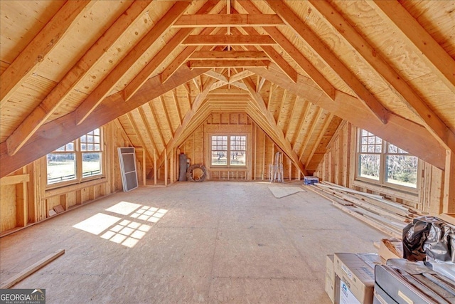 attic featuring plenty of natural light