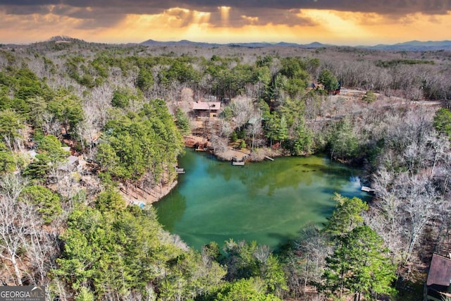 drone / aerial view featuring a forest view and a water and mountain view