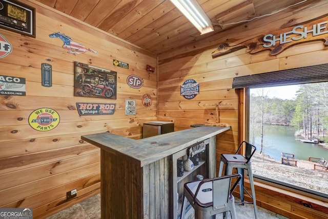 bar featuring a water view, wood walls, and wood ceiling