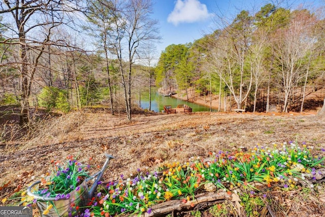 view of yard featuring a water view and a wooded view