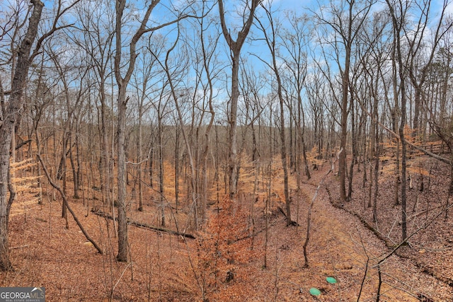 view of local wilderness