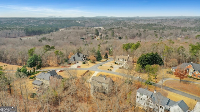 aerial view with a view of trees