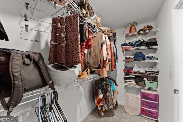 walk in closet featuring carpet flooring