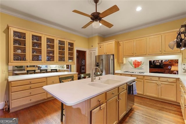 kitchen with wood finished floors, a ceiling fan, a sink, stainless steel appliances, and light countertops