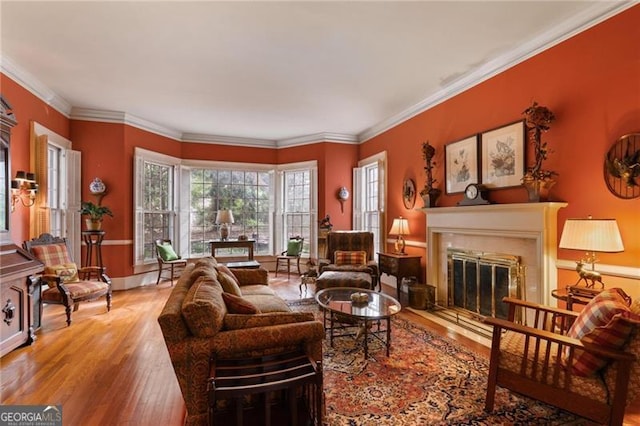 living room with a fireplace, crown molding, and wood finished floors