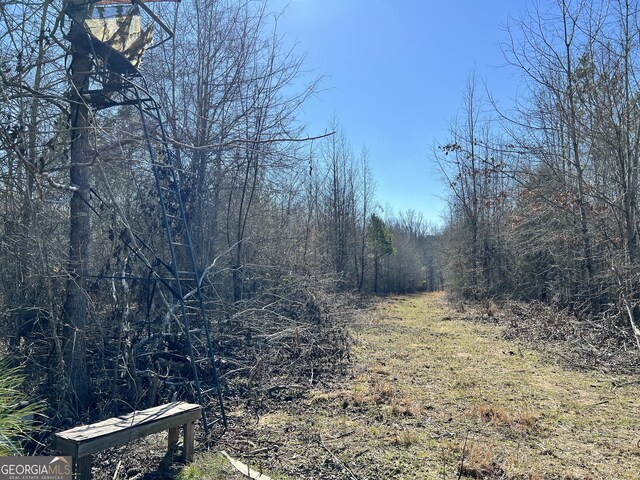 900 Sandy Cross Rd, Washington, GA 30673