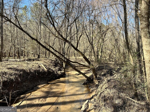 900 Sandy Cross Rd, Washington, GA 30673