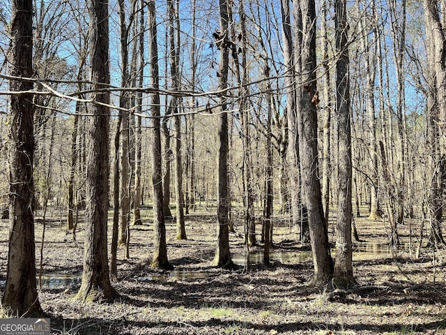 900 Sandy Cross Rd, Washington, GA 30673