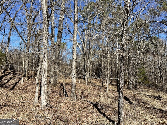 900 Sandy Cross Rd, Washington, GA 30673