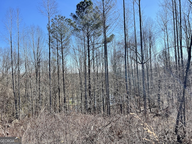 900 Sandy Cross Rd, Washington, GA 30673