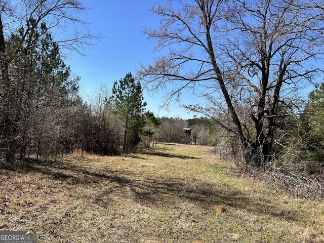 900 Sandy Cross Rd, Washington, GA 30673