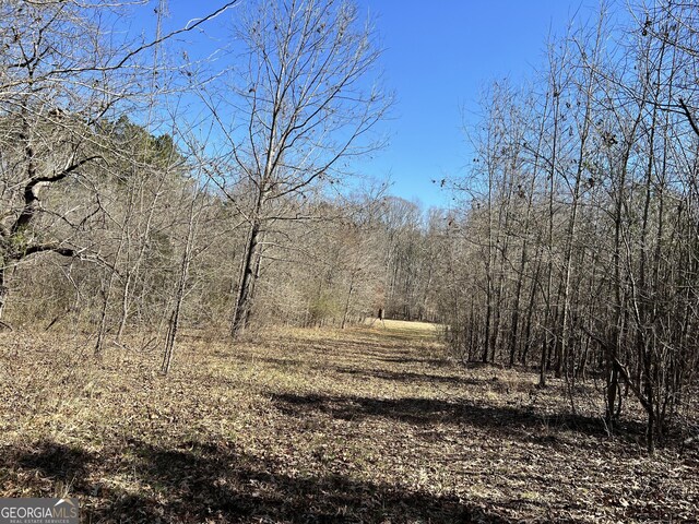 900 Sandy Cross Rd, Washington, GA 30673