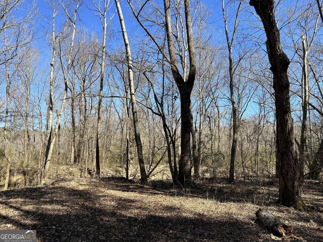 900 Sandy Cross Rd, Washington, GA 30673