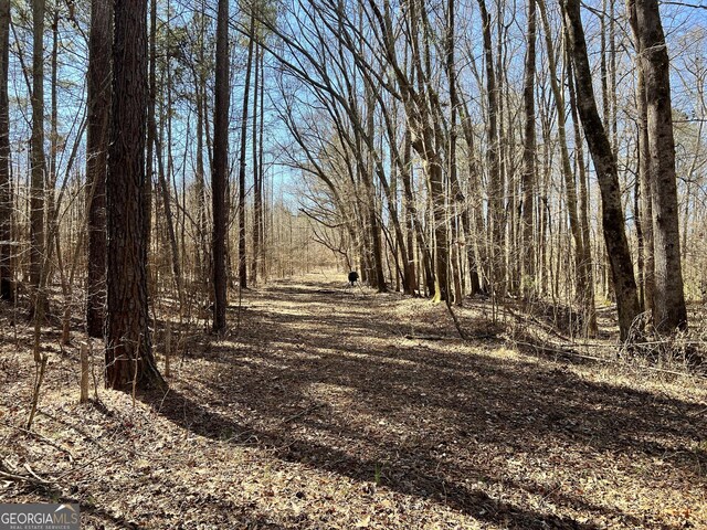 900 Sandy Cross Rd, Washington, GA 30673