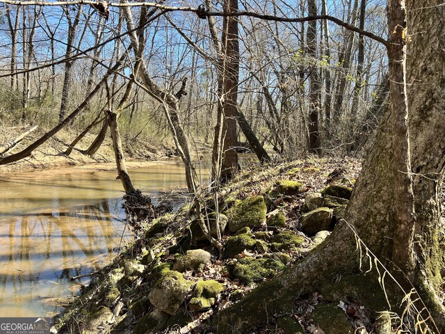 900 Sandy Cross Rd, Washington, GA 30673